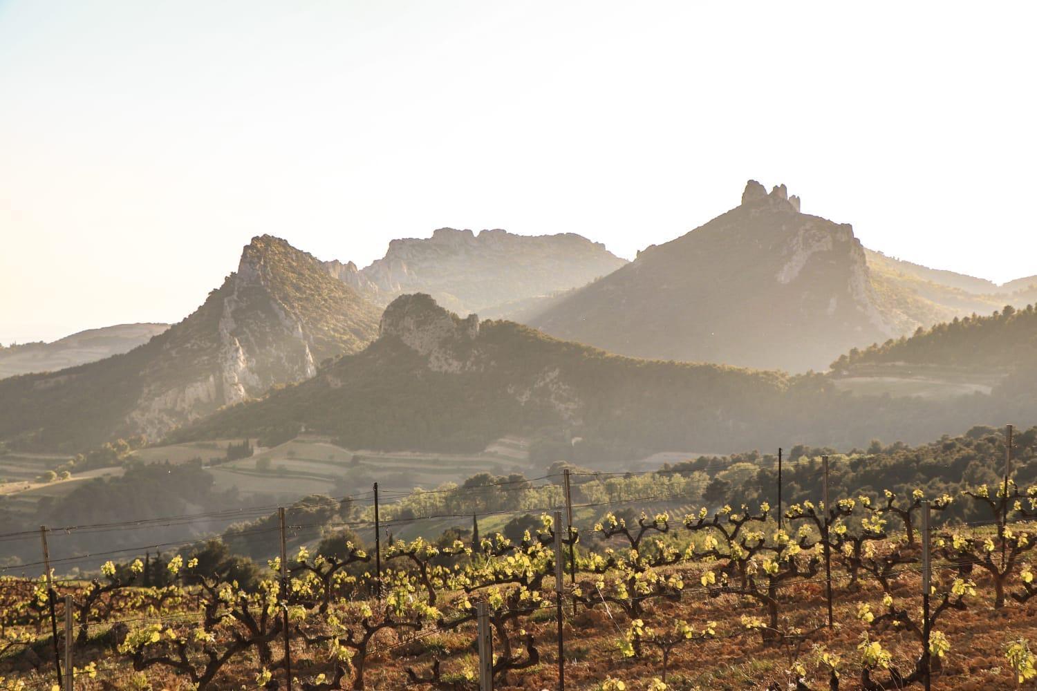 Domaine De Cassan Villa Lafare Luaran gambar